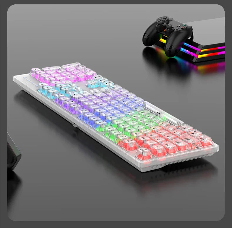 RAIKU L1000 Transparent Mechanical Gaming Keyboard (RGB Backlit, Custom Switches, Crystal Clear Chassis)