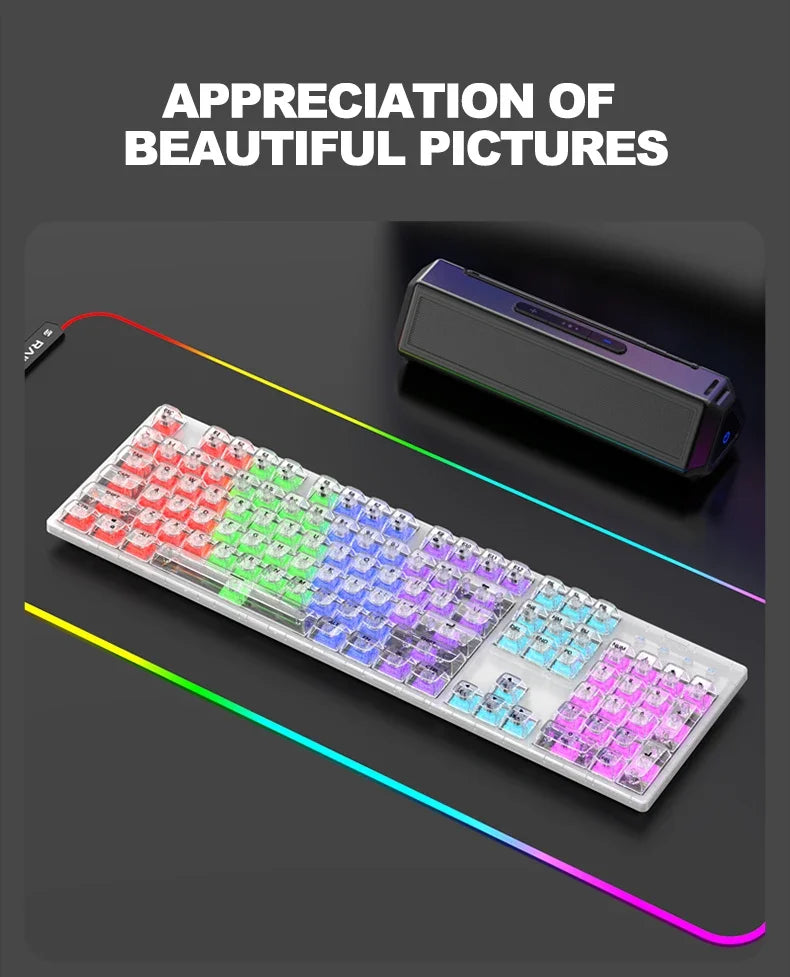RAIKU L1000 Transparent Mechanical Gaming Keyboard (RGB Backlit, Custom Switches, Crystal Clear Chassis)