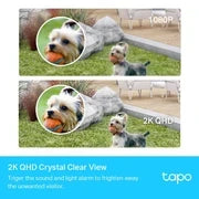 Tapo C420S2 Smart Wire-Free Security Camera System, 2-Camera System