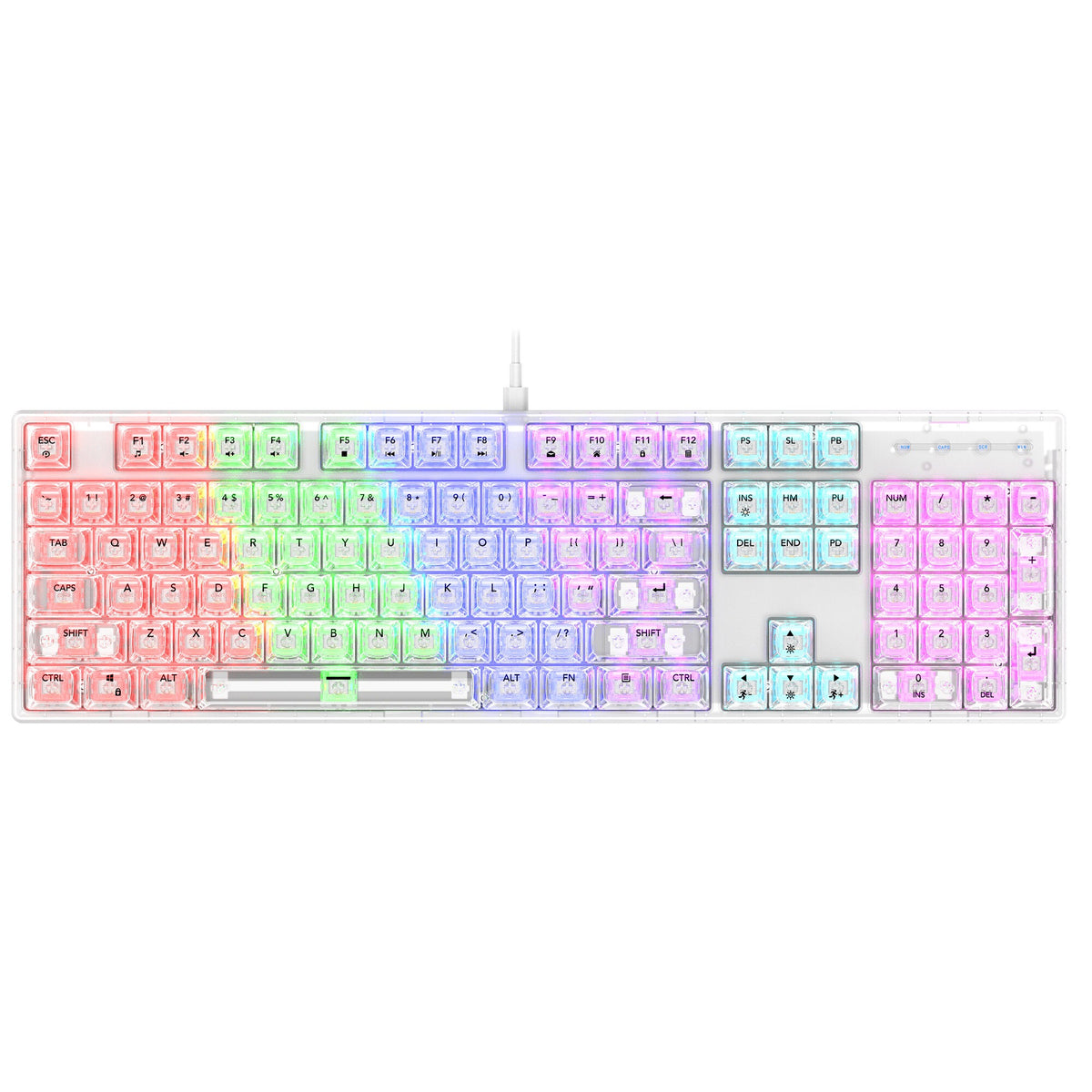 RAIKU L1000 Transparent Mechanical Gaming Keyboard (RGB Backlit, Custom Switches, Crystal Clear Chassis)